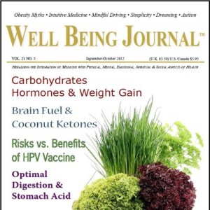 Well Being Journal