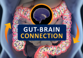 Gut-Brain