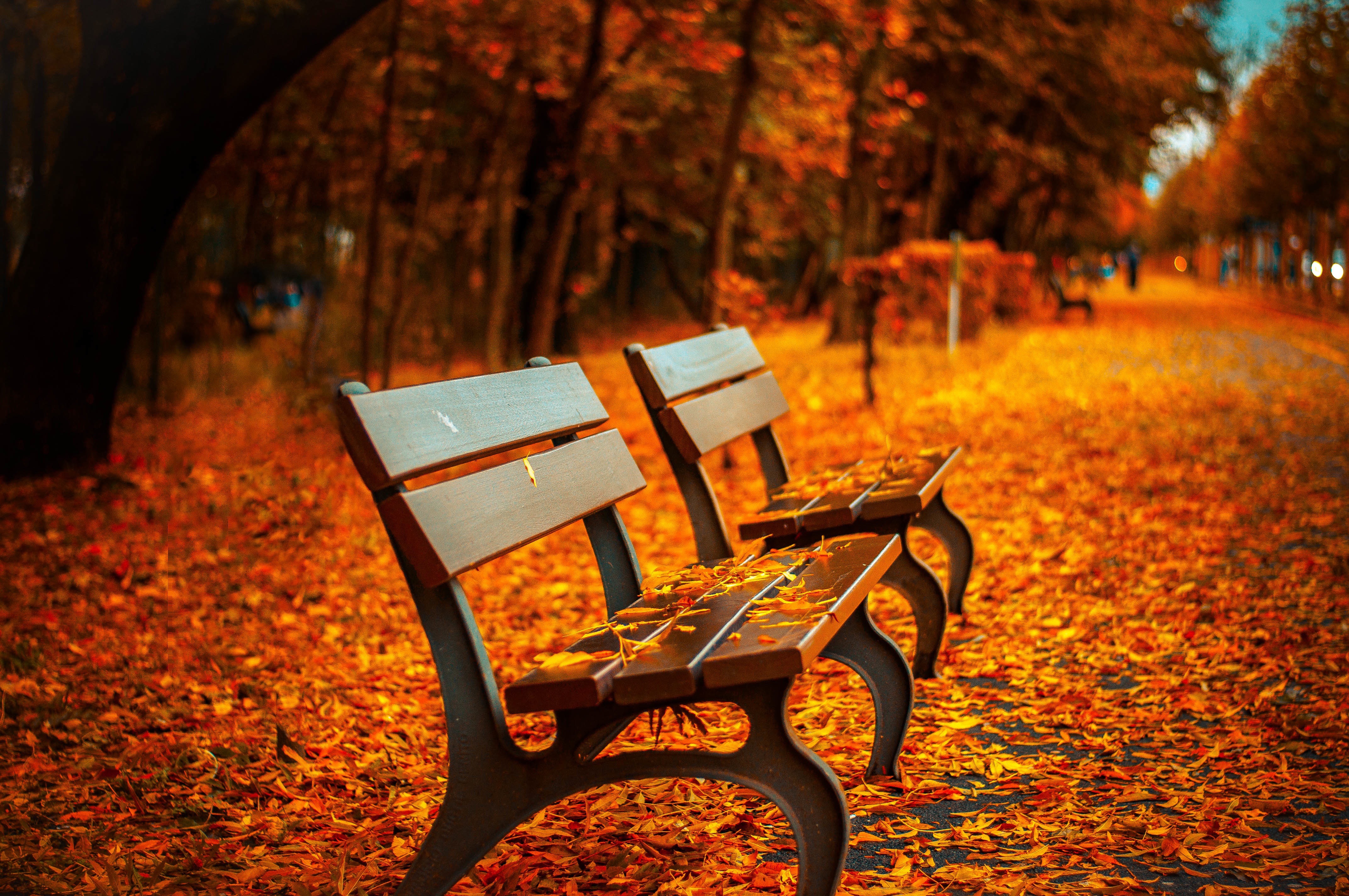 5 Tips to Defeat Autumn Anxiety