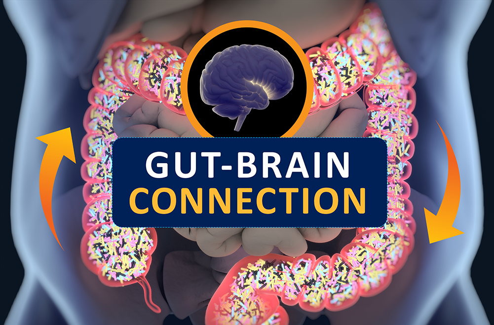 How Science Explains the Gut-Brain Connection