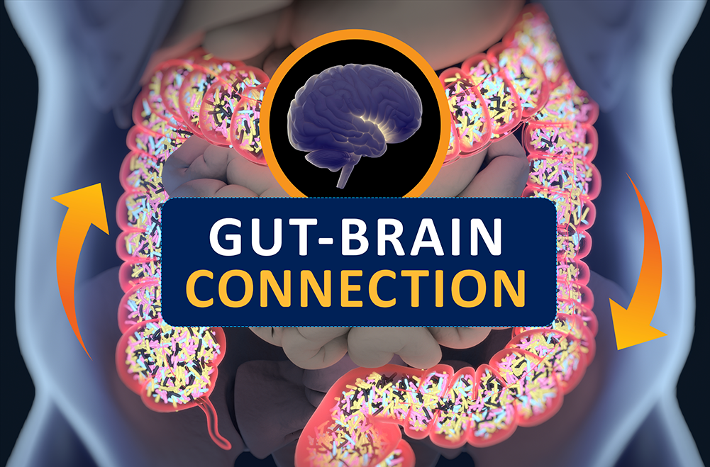 Gut-Brain